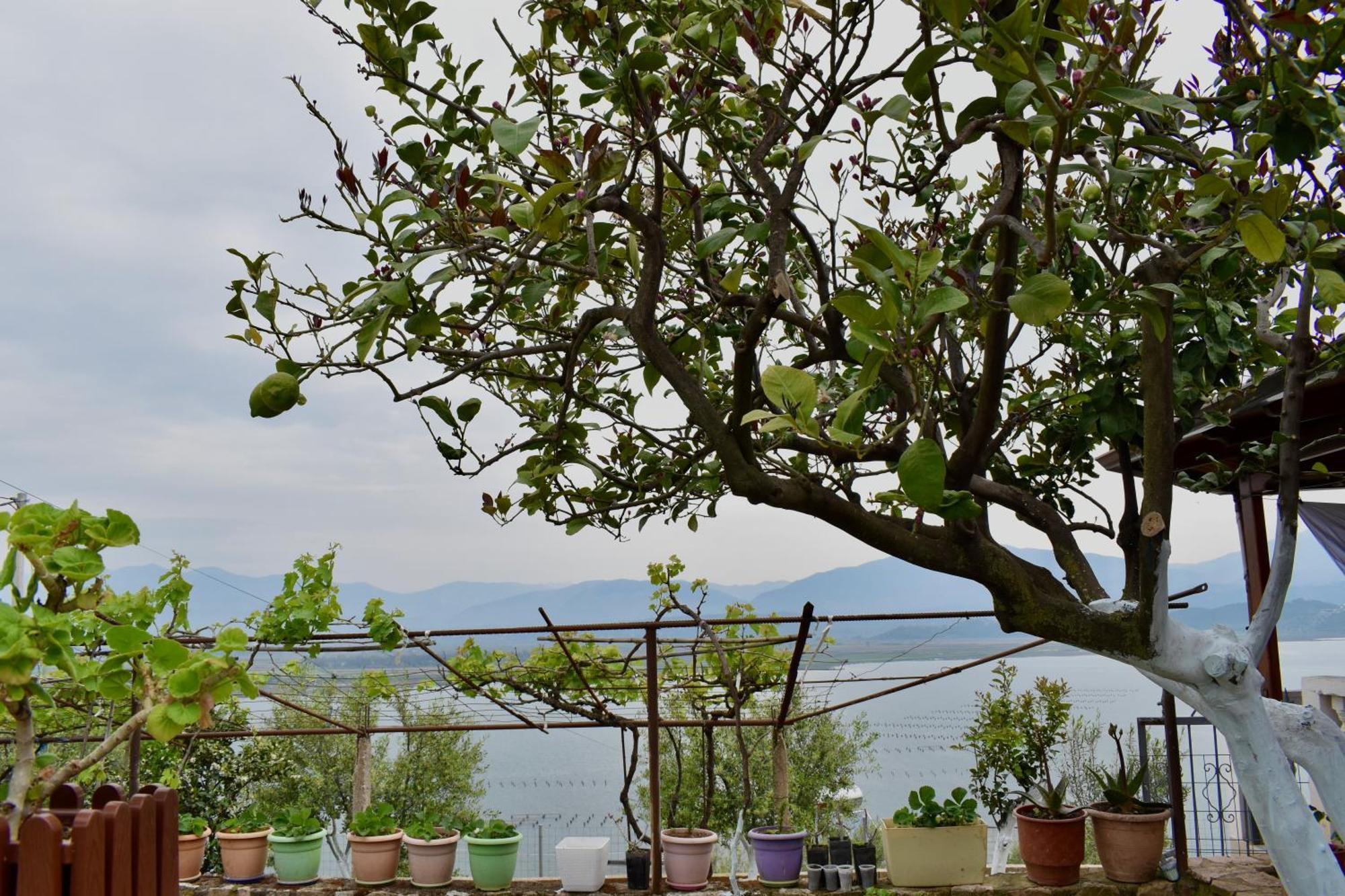 Ksamil Sea&Lake View Escape Екстер'єр фото